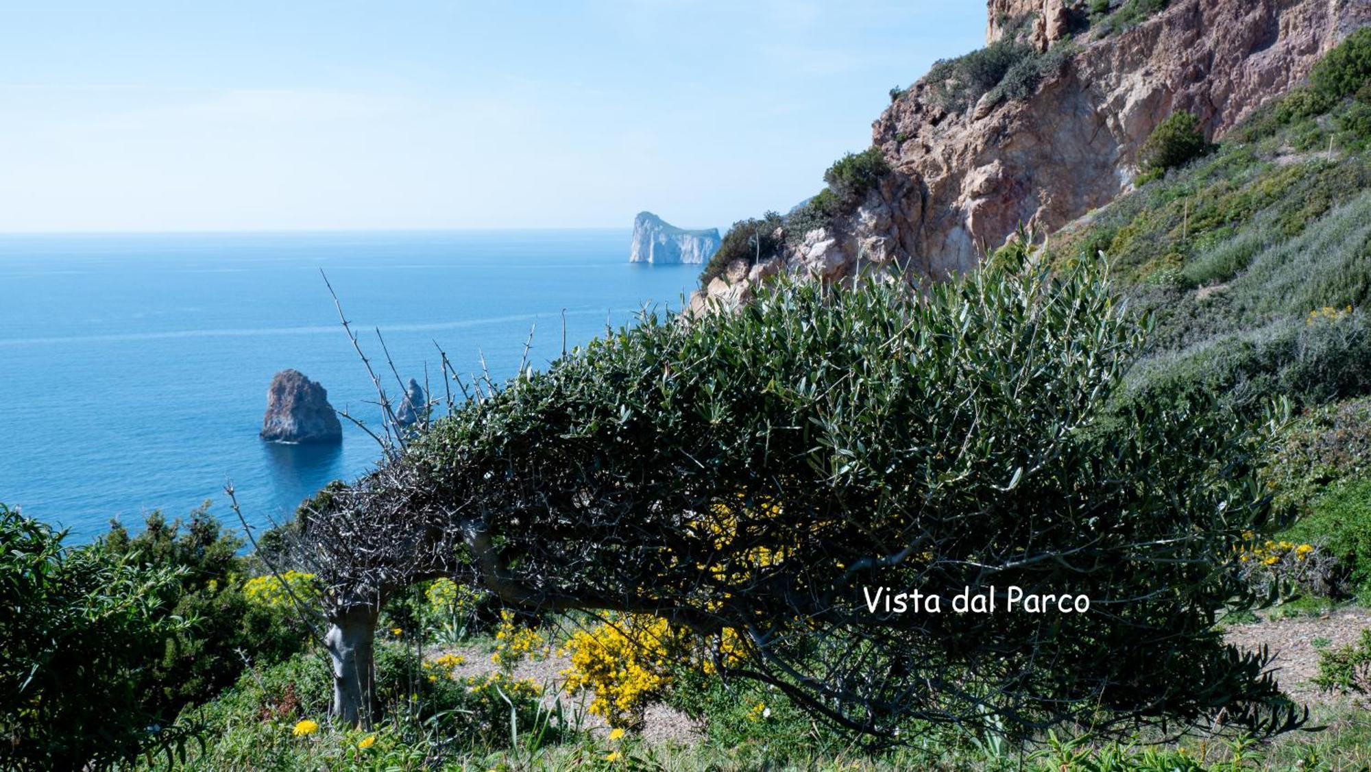 Vila Il Sogno Tanca Piras Nebida Exteriér fotografie